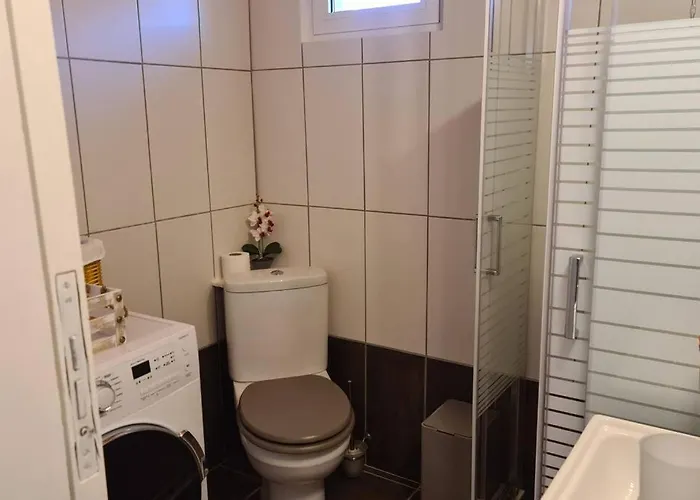 Vilă Zoi's Seaview House *