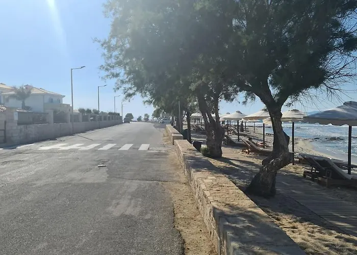 Vilă Zoi's Seaview House